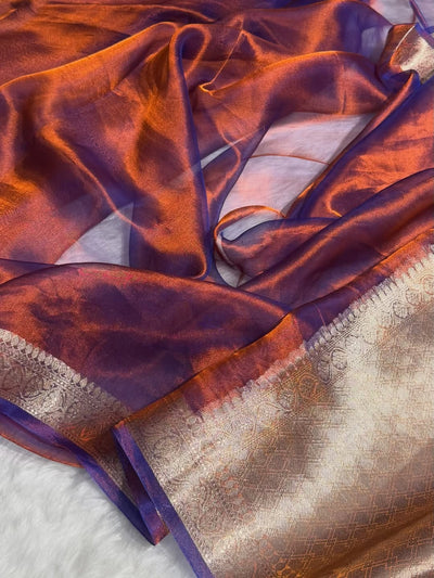 Royal Dual-Tone Organza Silk Saree